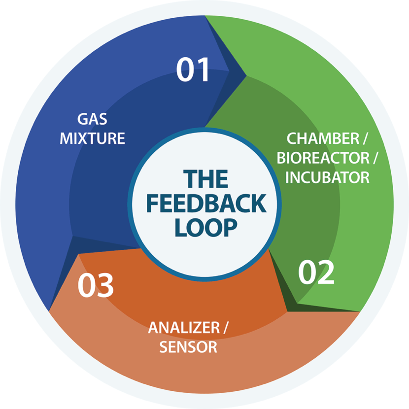 MCI Gas Mixers - Automation - Loop and Feedback Control Technology